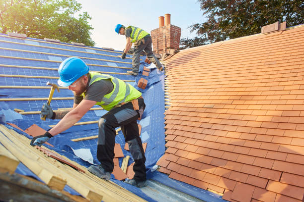 Best Solar Panel Roofing Installation  in Olympia, SC